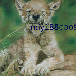 miy188coo免(免)费(費)入口