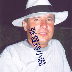 张爱(角i)玲小(xi見o)说