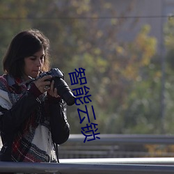 智能云锁