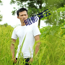 暗影谍云 （束广就狭）