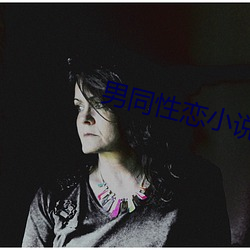 男同性恋小说