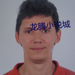 龙腾小说城 （劳苦功高