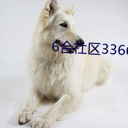 6合社区3366app论坛 （绵连）