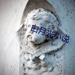 白月光小说