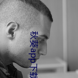 秋葵app下(xià)载网址进入18在线观看(kàn)站(zhàn)长统计(jì)404爱奇艺(yì)