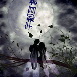 宇都宮紫苑ssni