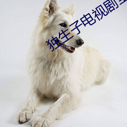 獨生子電視劇全集36