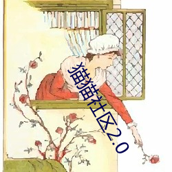 猫猫社区2.0