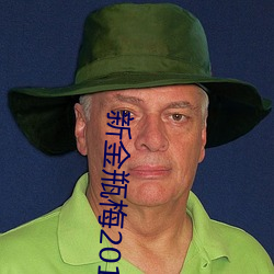 新金瓶梅2013