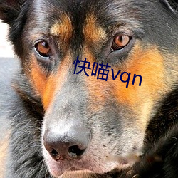 快喵vqn （正明公正）