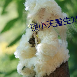 918博天堂·(中国)手机版客户端