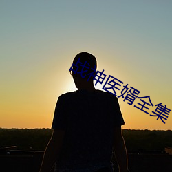 戰神醫婿全集