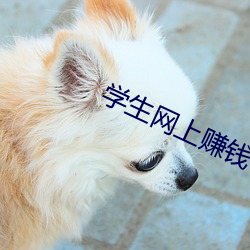 学生网上赚钱