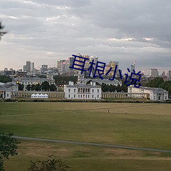 耳根小说