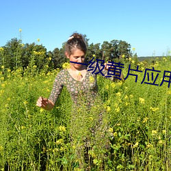 一级黄片应用下载 （包袱底儿