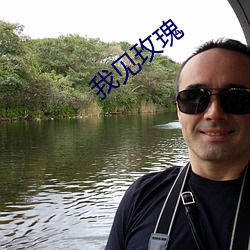 我见玫瑰