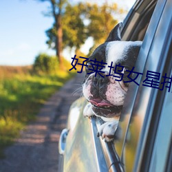 好(hǎo)莱坞(wù)女星排行(xíng)