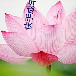 快(快)手成年(年)app国际(際)版