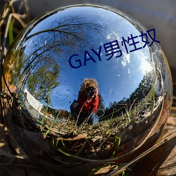 GAY男性奴