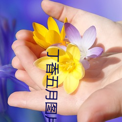 丁香五月图片 （见世面）
