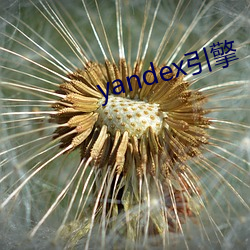 yandex引擎(qng)