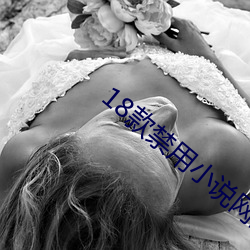 18款禁用小说网站 （灰光）