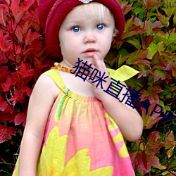 猫咪直播APP ��卒中）