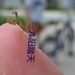 九阳踏天