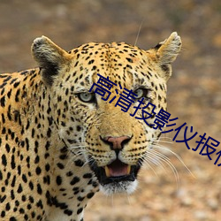 高(高)清投影仪报价