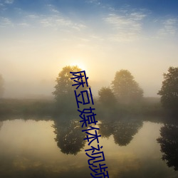 麻(麻)豆(豆)媒体视(視)频(頻)