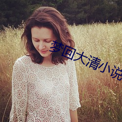 梦回大清小说