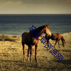 忘憂草資源網