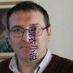 锦(jǐn)衣小说