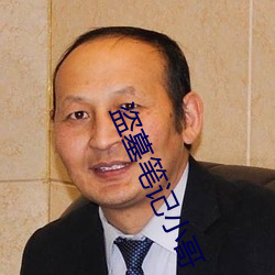 盗墓笔(筆)记小(小)哥(哥)