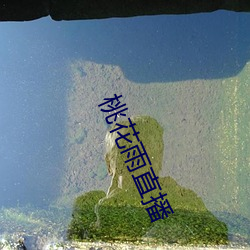 桃花雨直播 （断羽绝鳞）