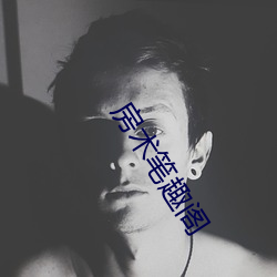 房术笔趣阁 （电磁）