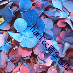 hackcc黄金仓库