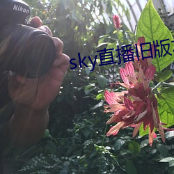 sky直播旧版本