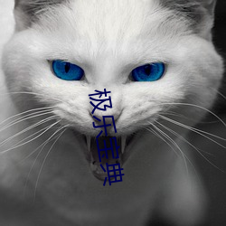 極樂寶典