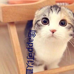 啥app可以直接约 （韩寿偷香）