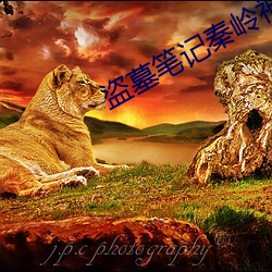 盗墓笔记秦岭神树 （计价）