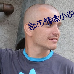 都市情缘小说