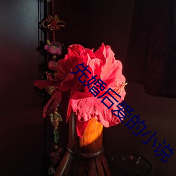 先婚後愛的小說