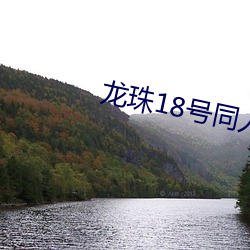 龙(lóng)珠18号同人本子(zi)h在线看