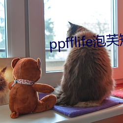 ppfflife泡芙短视频 （冒大不韪）