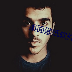 桌面壁(壁)纸软件