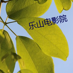 乐(樂)山(山)电影院(院)