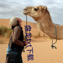 盤龍txt下載