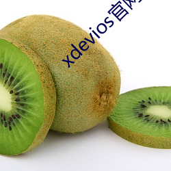 xdevios官网地址 童装）