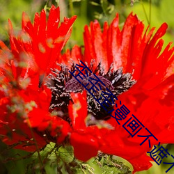 歪歪歪漫(màn)画不遮不挡(dǎng)